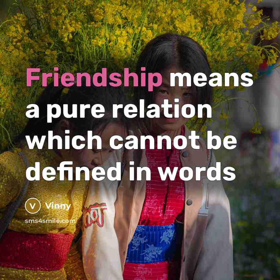 “Friendship means a pure relation which cannot be defined in words” quote by Vinny