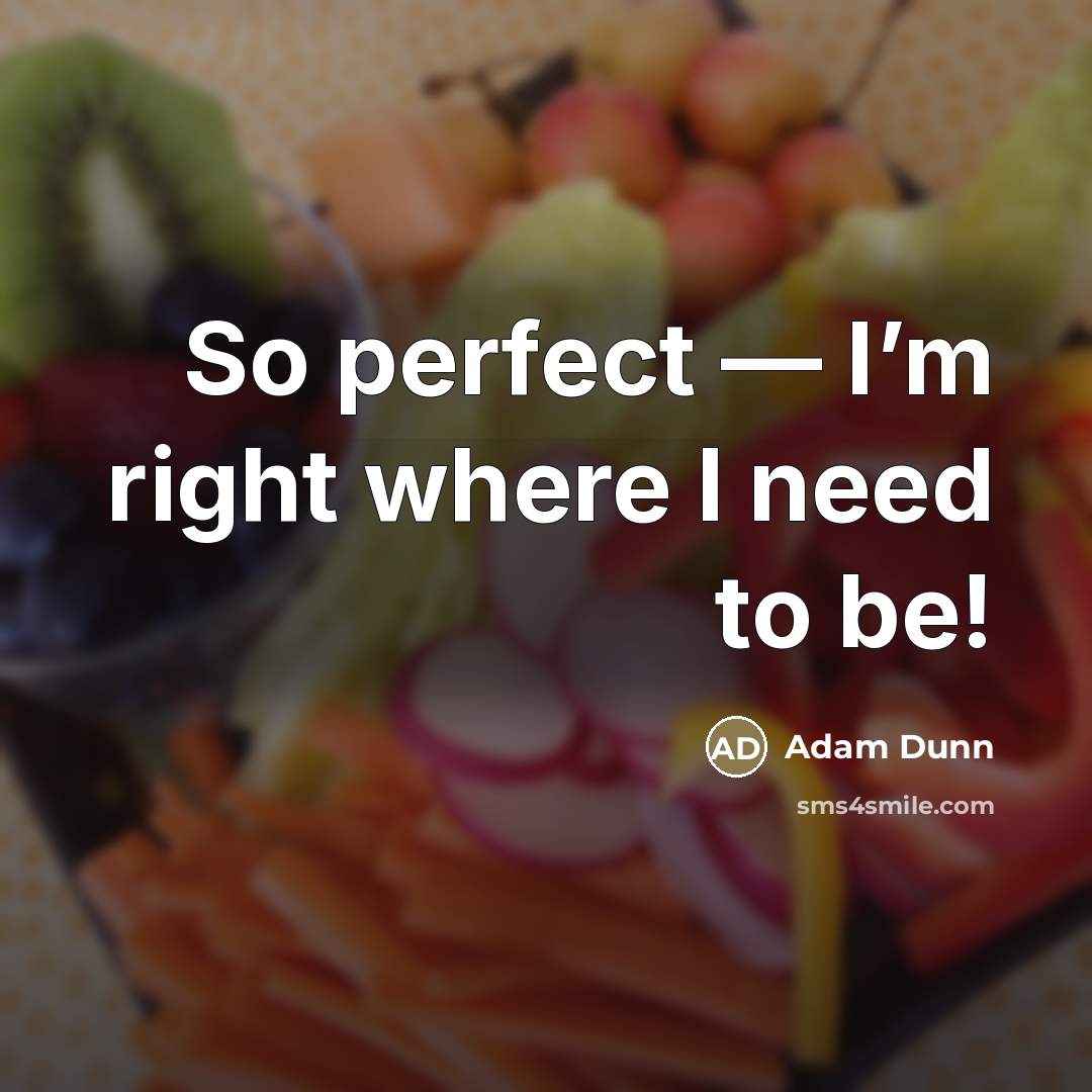 “So perfect — I’m right where I need to be!…” quote by Adam Dunn