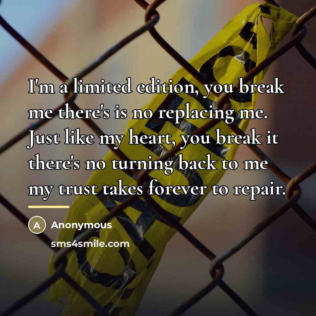 “I'm a limited edition, you break me there's is no…” quote by Anonymous