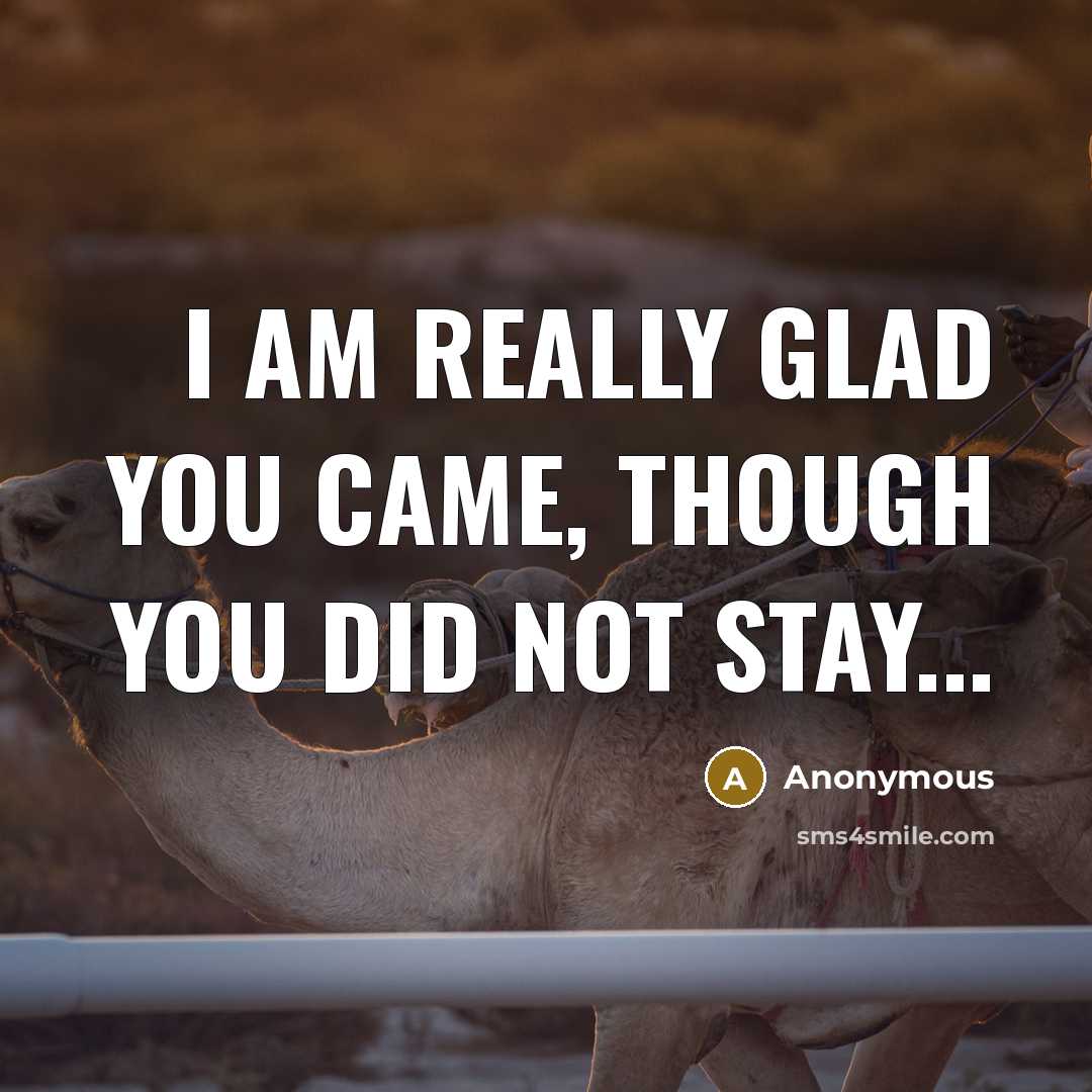 “I am really glad you came, though you did not…” quote by Anonymous