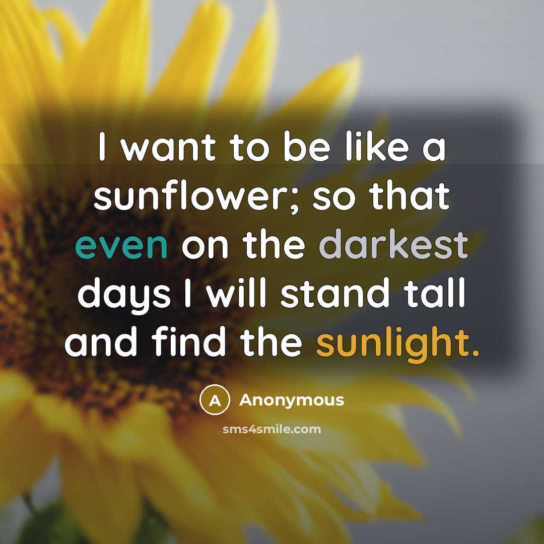 “I want to be like a sunflower; so that even on the darkest days I will stand tall and find the sunlight.” quote by Anonymous