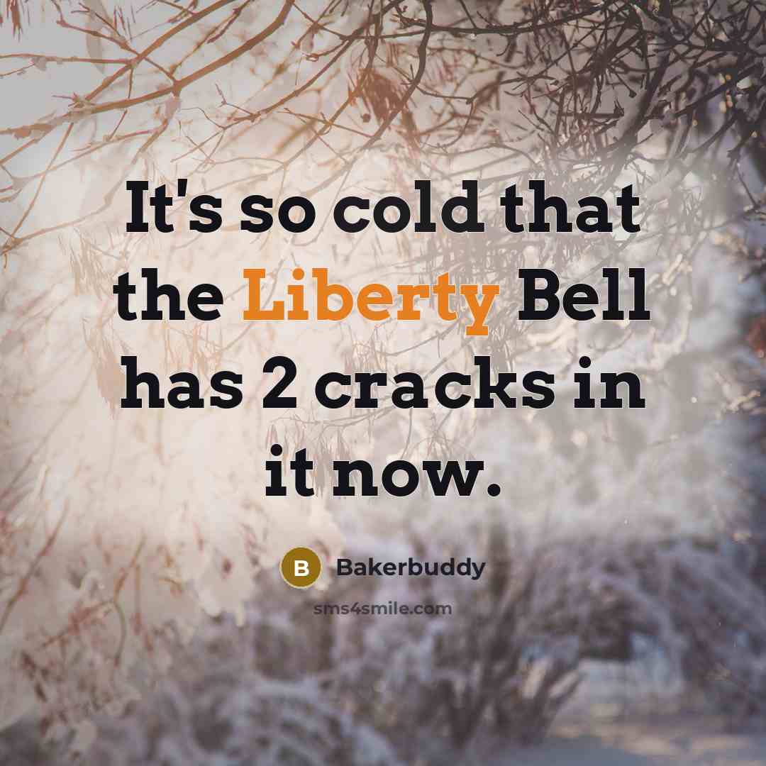 “It's so cold that the Liberty Bell has 2 cracks in it now.” quote by Bakerbuddy