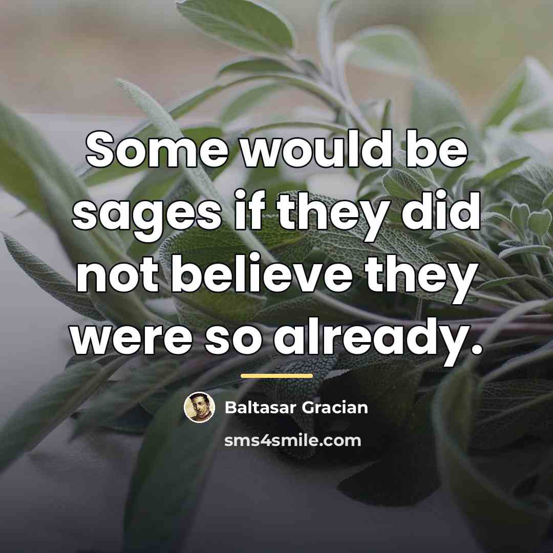“Some would be sages if they did not believe they…” quote by Baltasar Gracian