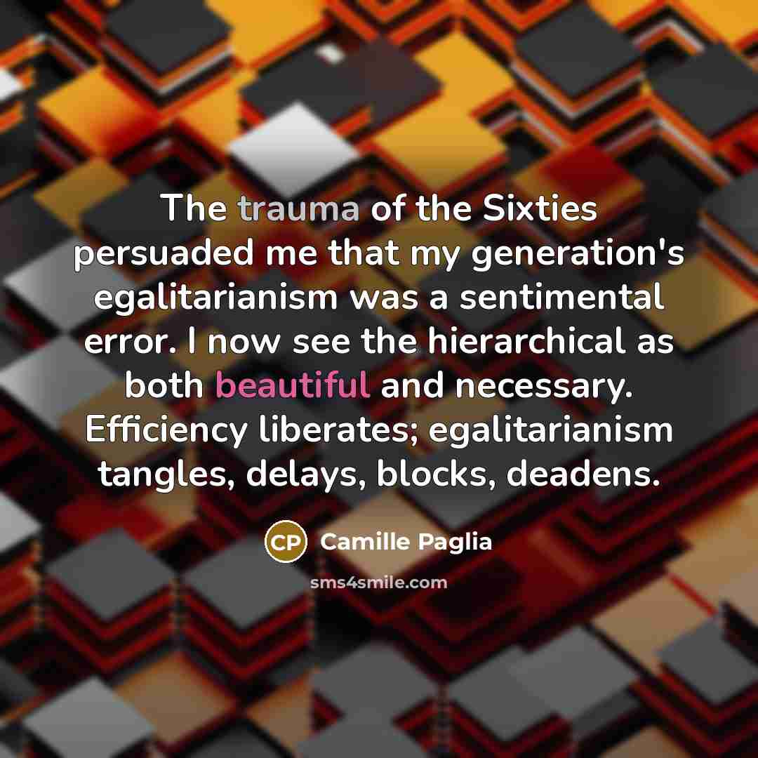 “The trauma of the Sixties persuaded me that my generation's…” quote by Camille Paglia