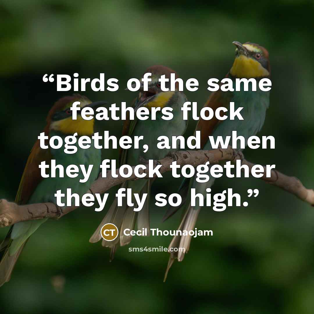 “Birds of the same feathers flock together, and when they flock together they fly so high.” quote by Cecil Thounaojam