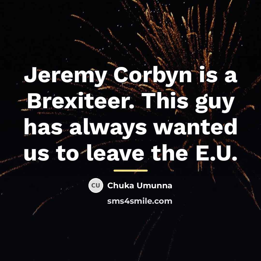 “Jeremy Corbyn is a Brexiteer. This guy has always wanted…” quote by Chuka Umunna