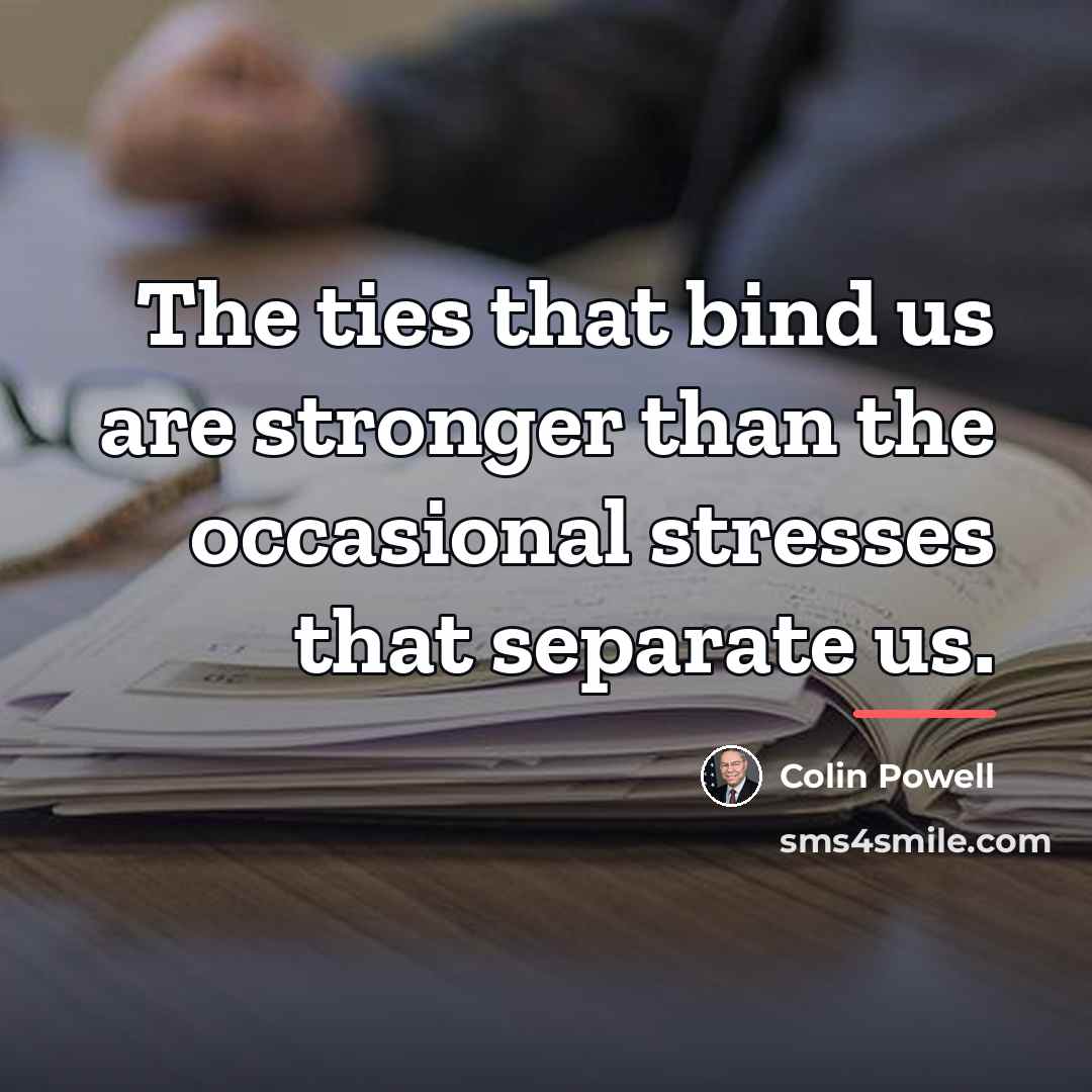 “The ties that bind us are stronger than the occasional…” quote by Colin Powell