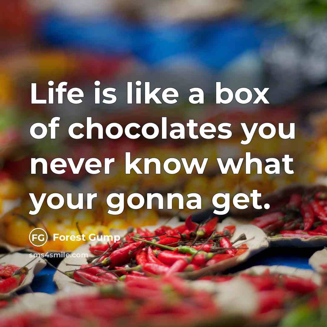 “Life is like a box of chocolates you never know…” quote by Forest Gump