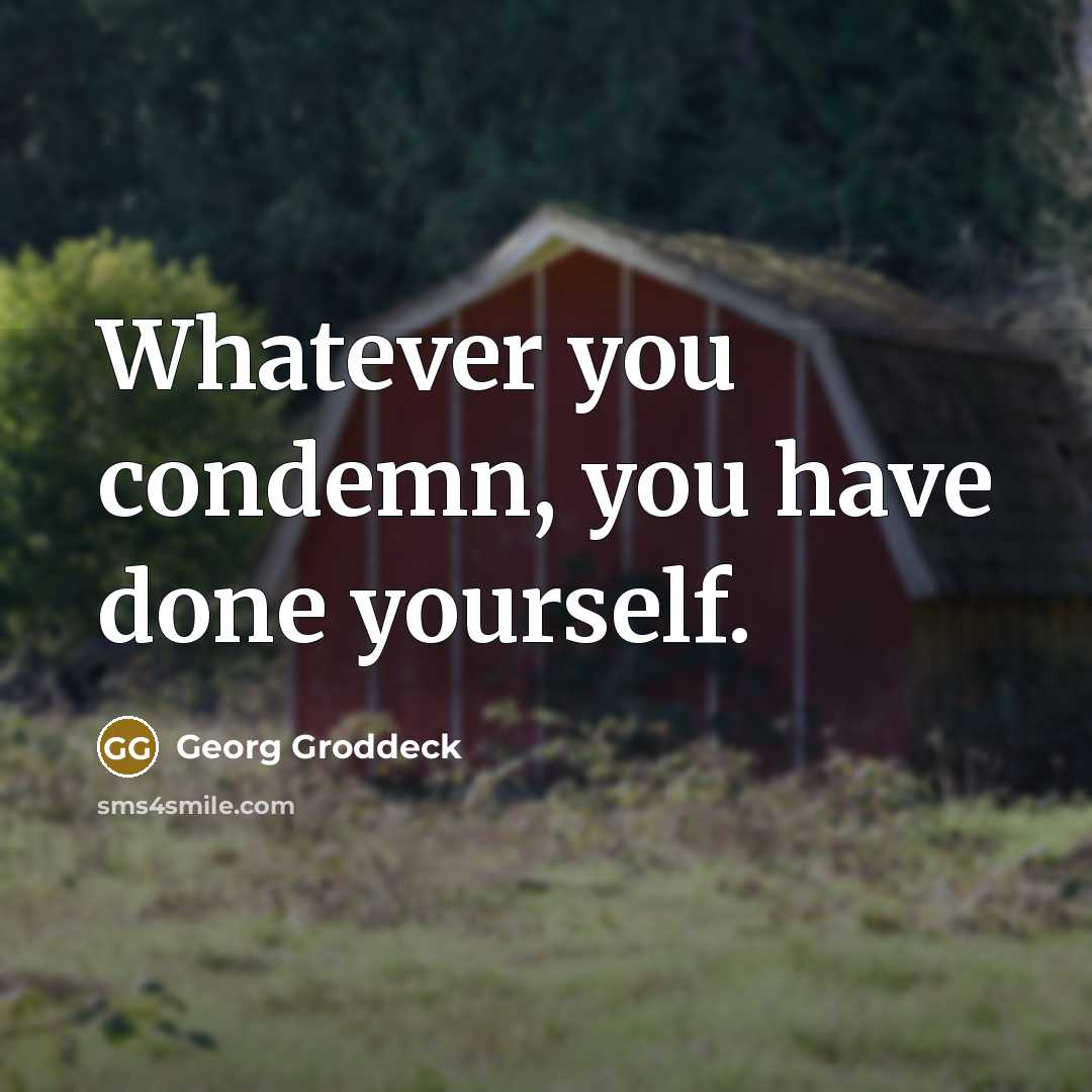 “Whatever you condemn, you have done yourself.” quote by Georg Groddeck