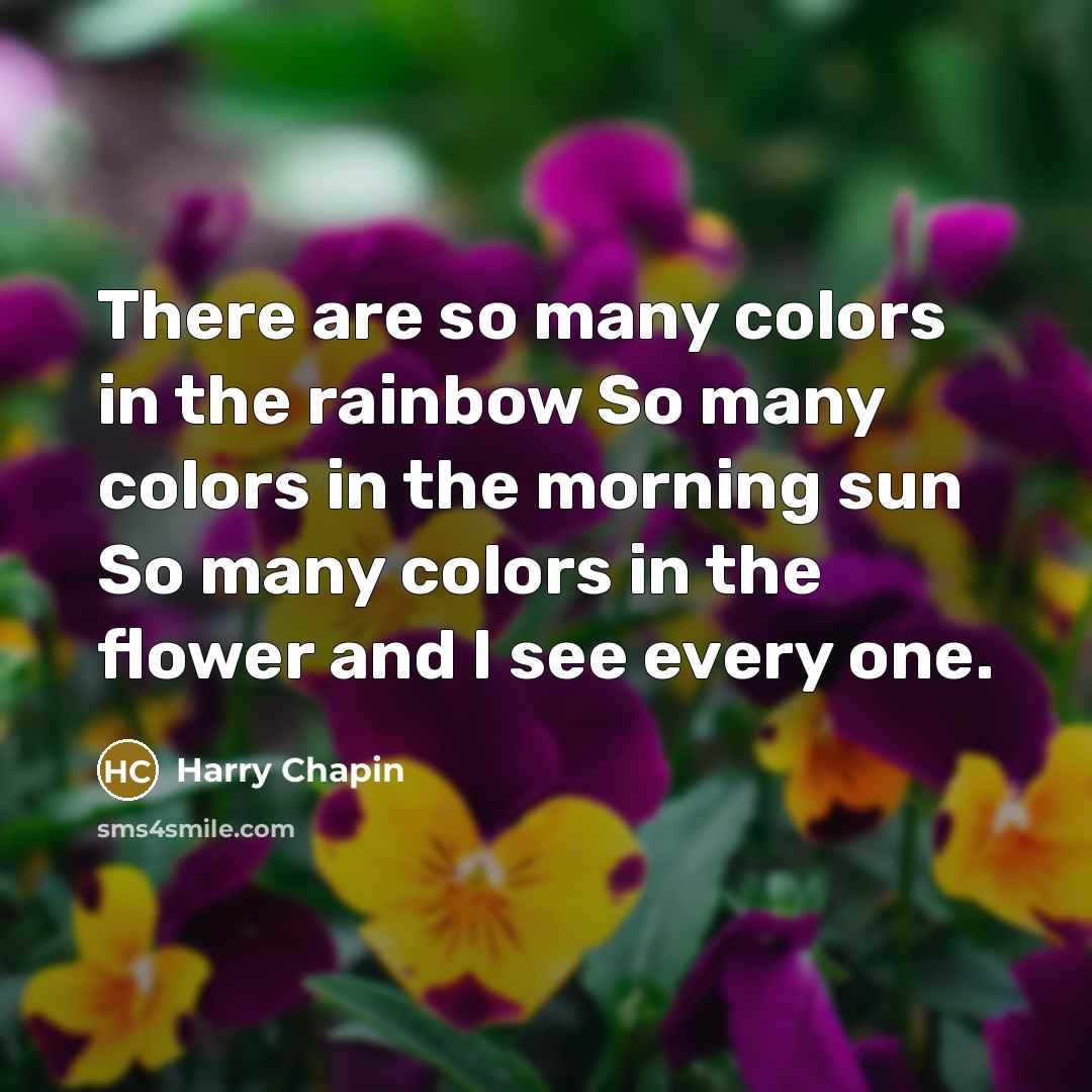 “There are so many colors in the rainbow So many…” quote by Harry Chapin