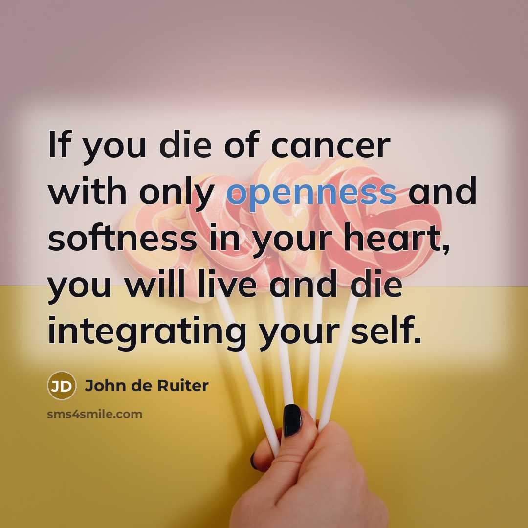 “If you die of cancer with only openness and softness…” quote by John de Ruiter