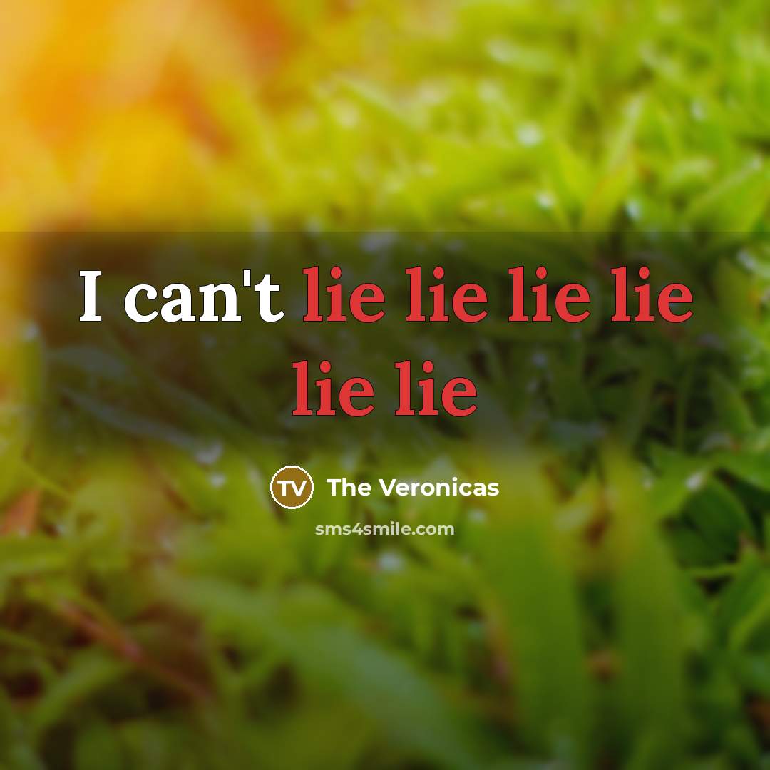 “I can't lie lie lie lie lie lie” quote by The Veronicas