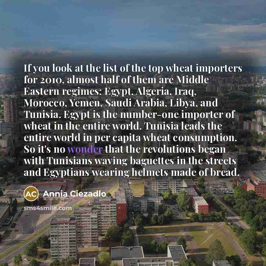 “If you look at the list of the top wheat…” quote by Annia Ciezadlo