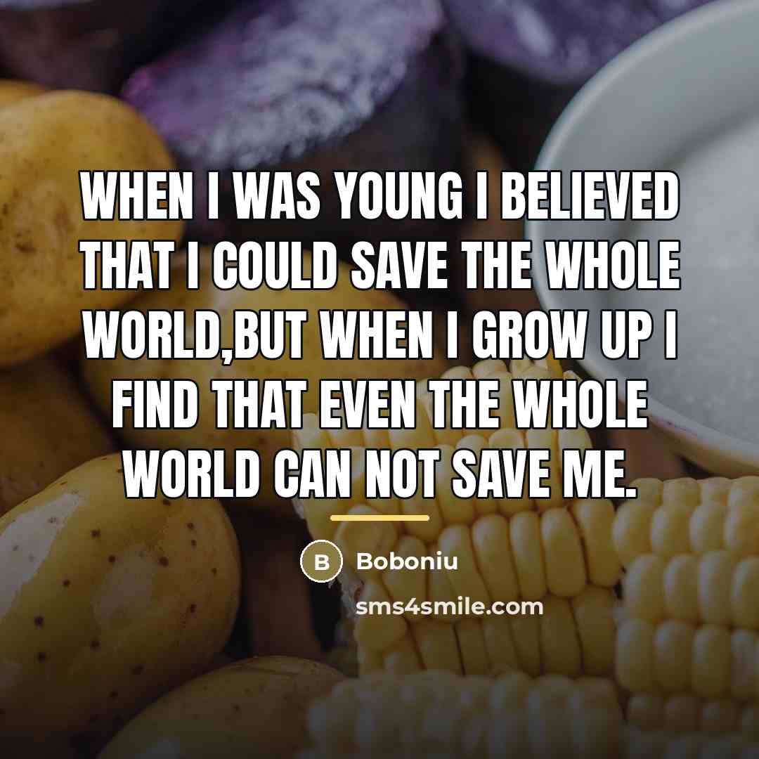 “When I was young I believed that I could save…” quote by Boboniu