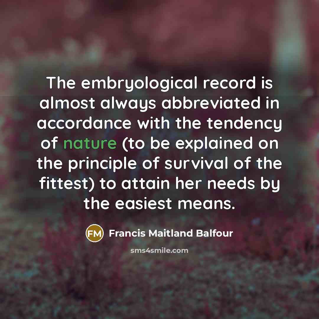 “The embryological record is almost always abbreviated in accordance with…” quote by Francis Maitland Balfour