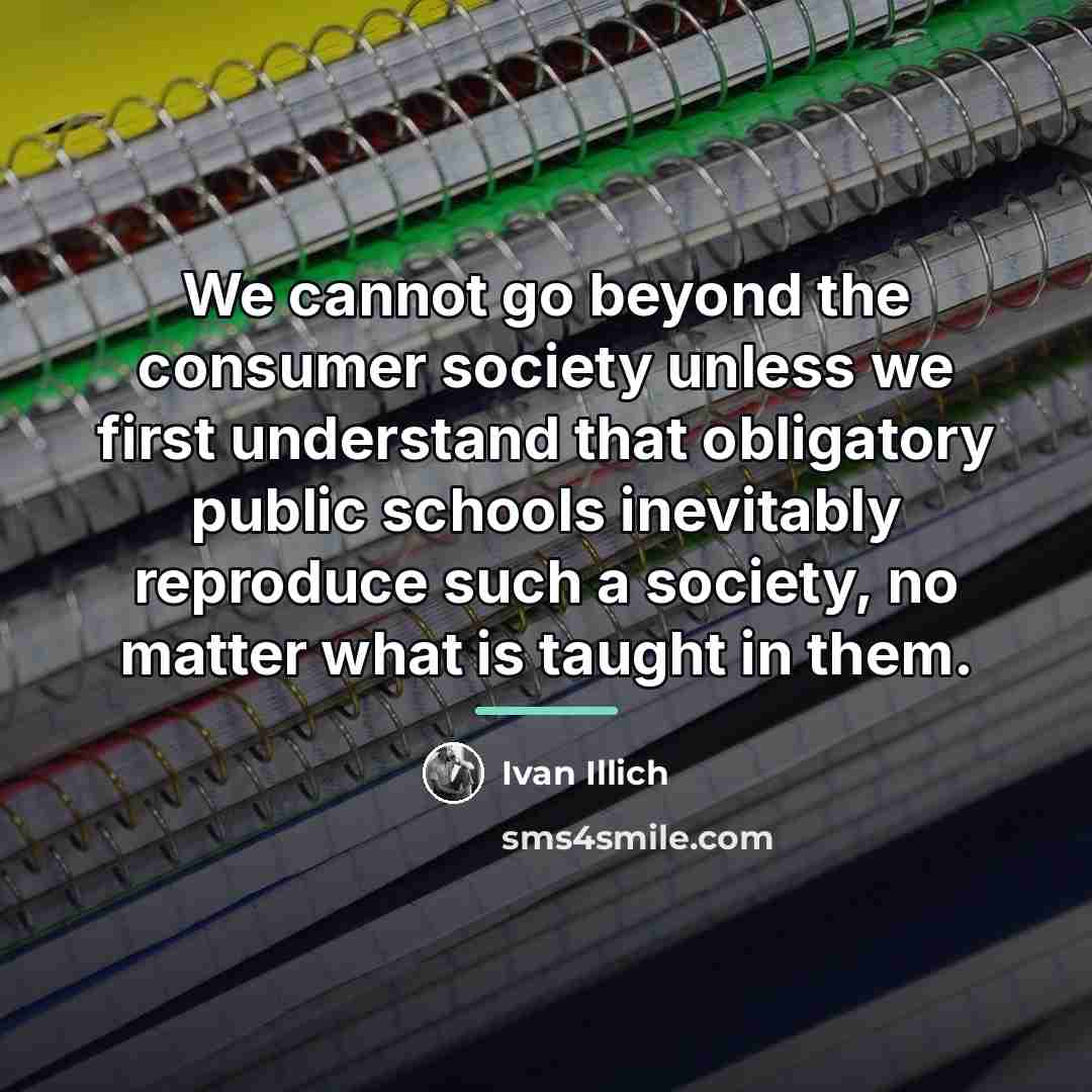 “We cannot go beyond the consumer society unless we first…” quote by Ivan Illich