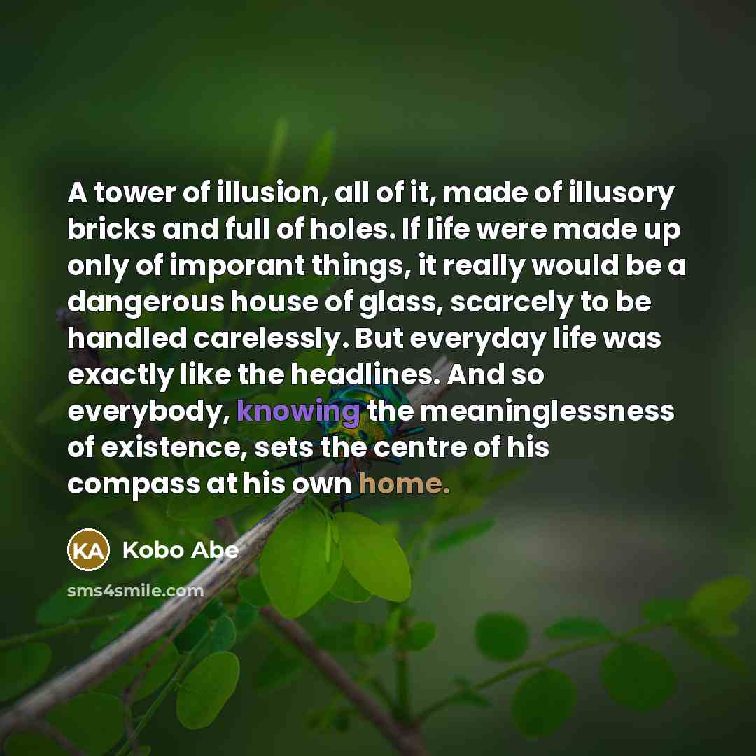 “A tower of illusion, all of it, made of illusory…” quote by Kobo Abe