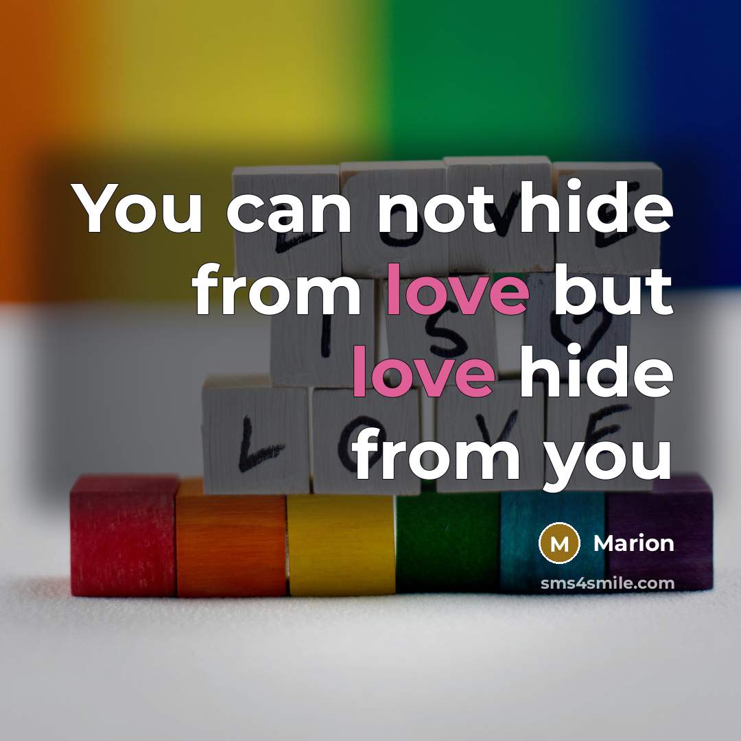 “You can not hide from love but love hide from…” quote by Marion
