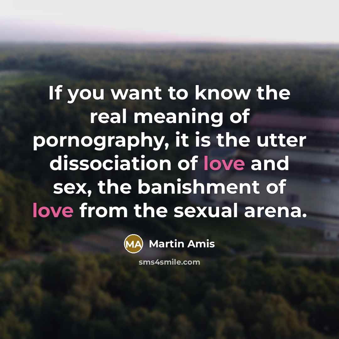 “If you want to know the real meaning of pornography,…” quote by Martin Amis