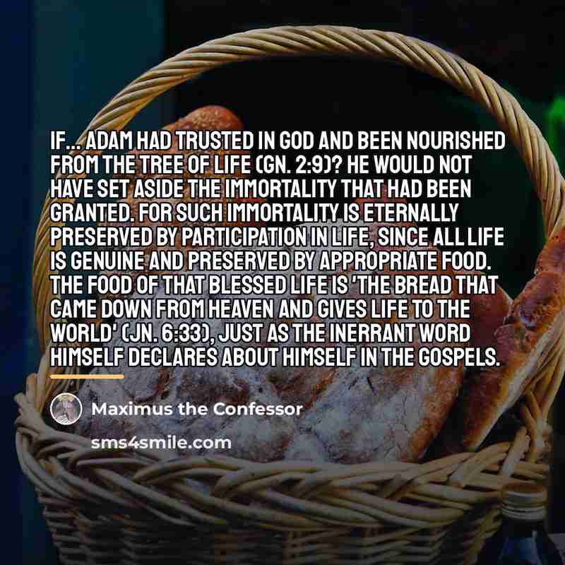 “If... Adam had trusted in God and been nourished from…” quote by Maximus the Confessor