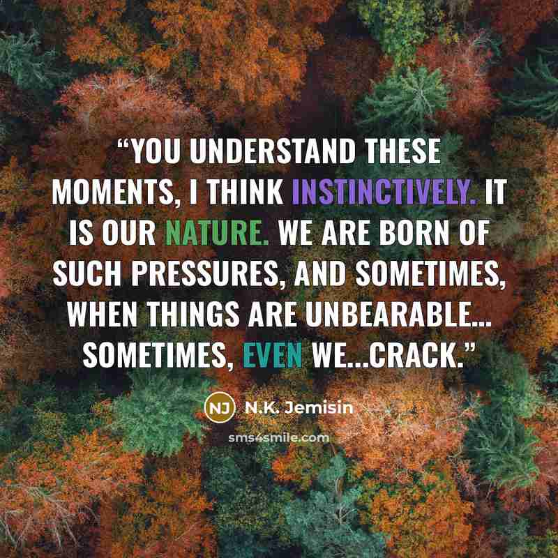 “You understand these moments, I think instinctively. It is our nature. We are born of such pressures, and sometimes, when things are unbearable… sometimes, even we...crack.” quote by N.K. Jemisin