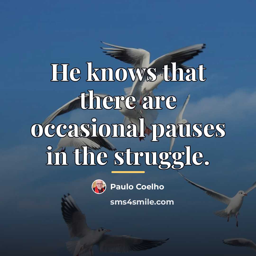 “He knows that there are occasional pauses in the struggle.…” quote by Paulo Coelho