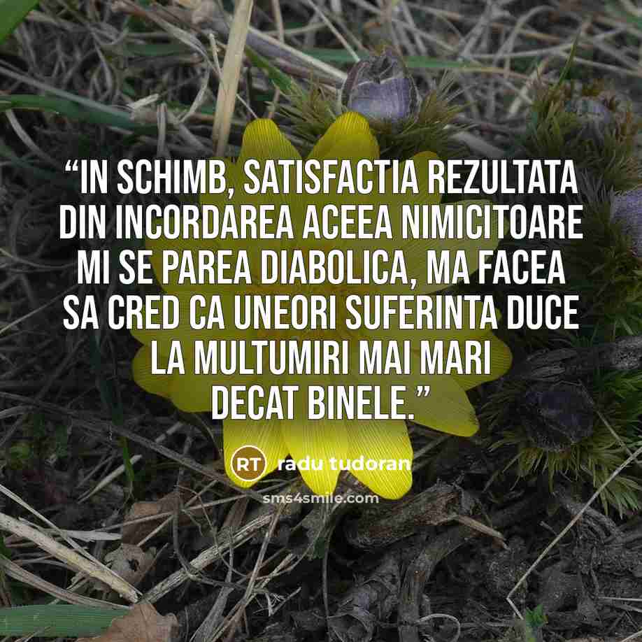 “In schimb, satisfactia rezultata din incordarea aceea nimicitoare mi se parea diabolica, ma facea sa cred ca uneori suferinta duce la multumiri mai mari decat binele.” quote by Radu Tudoran