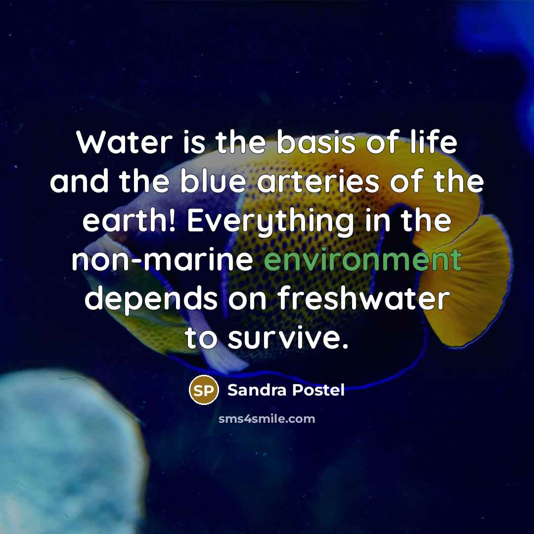 “Water is the basis of life and the blue arteries…” quote by Sandra Postel