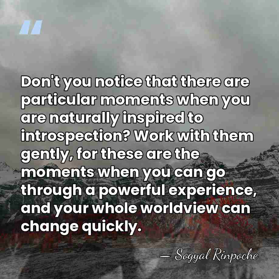 Don't you notice that there are particular moments when you are naturally&hellip; - Sogyal Rinpoche