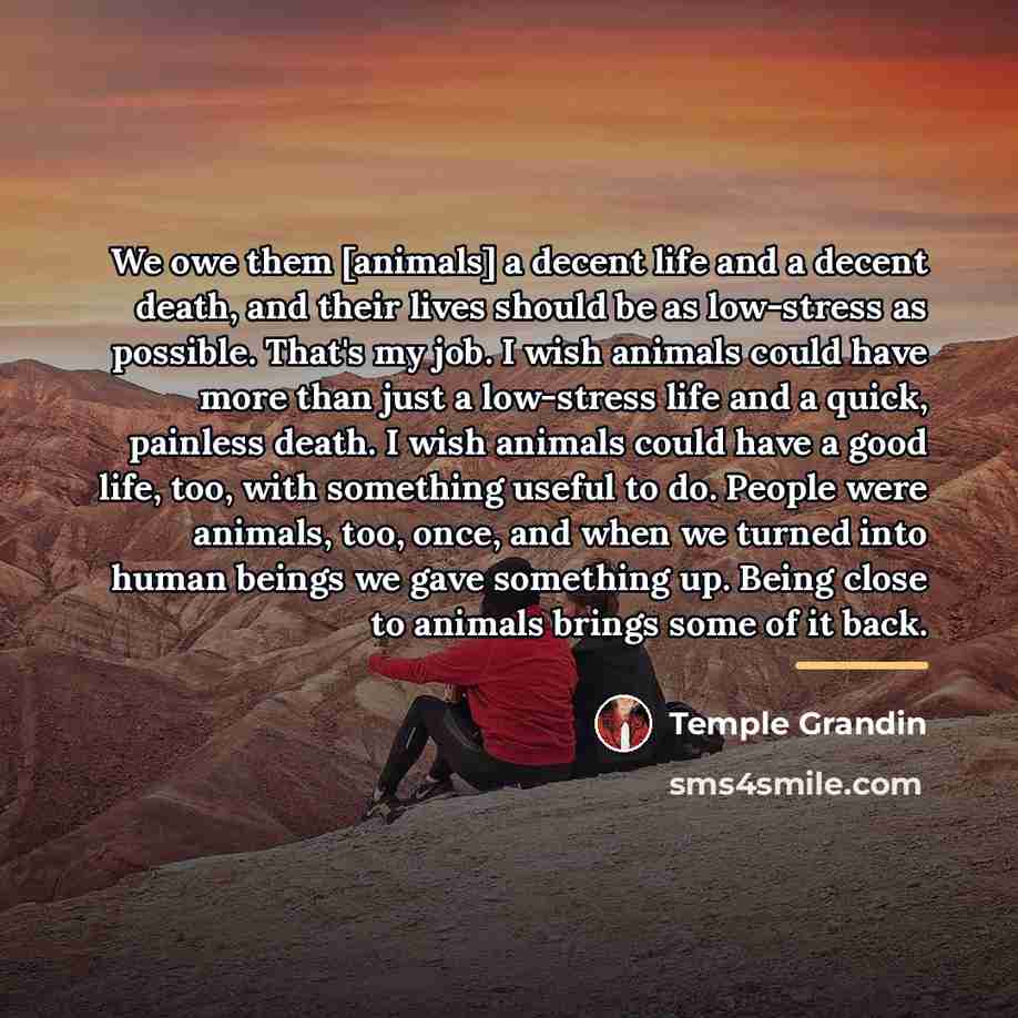 “We owe them [animals] a decent life and a decent…” quote by Temple Grandin