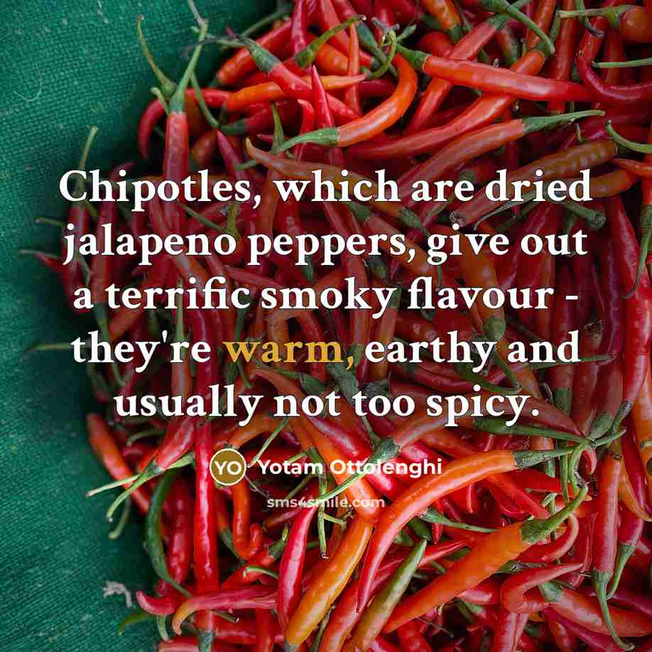 “Chipotles, which are dried jalapeno peppers, give out a terrific…” quote by Yotam Ottolenghi