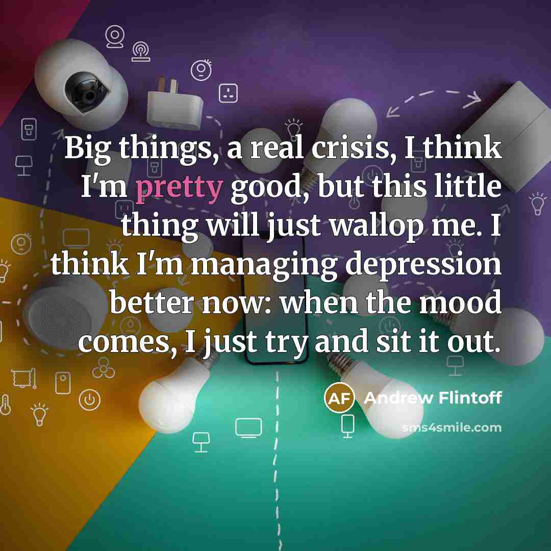“Big things, a real crisis, I think I'm pretty good,…” quote by Andrew Flintoff
