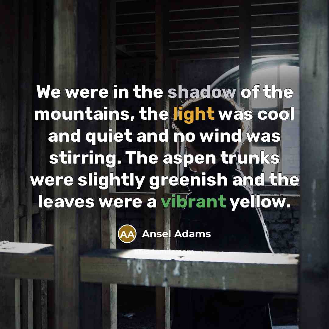 “We were in the shadow of the mountains, the light…” quote by Ansel Adams