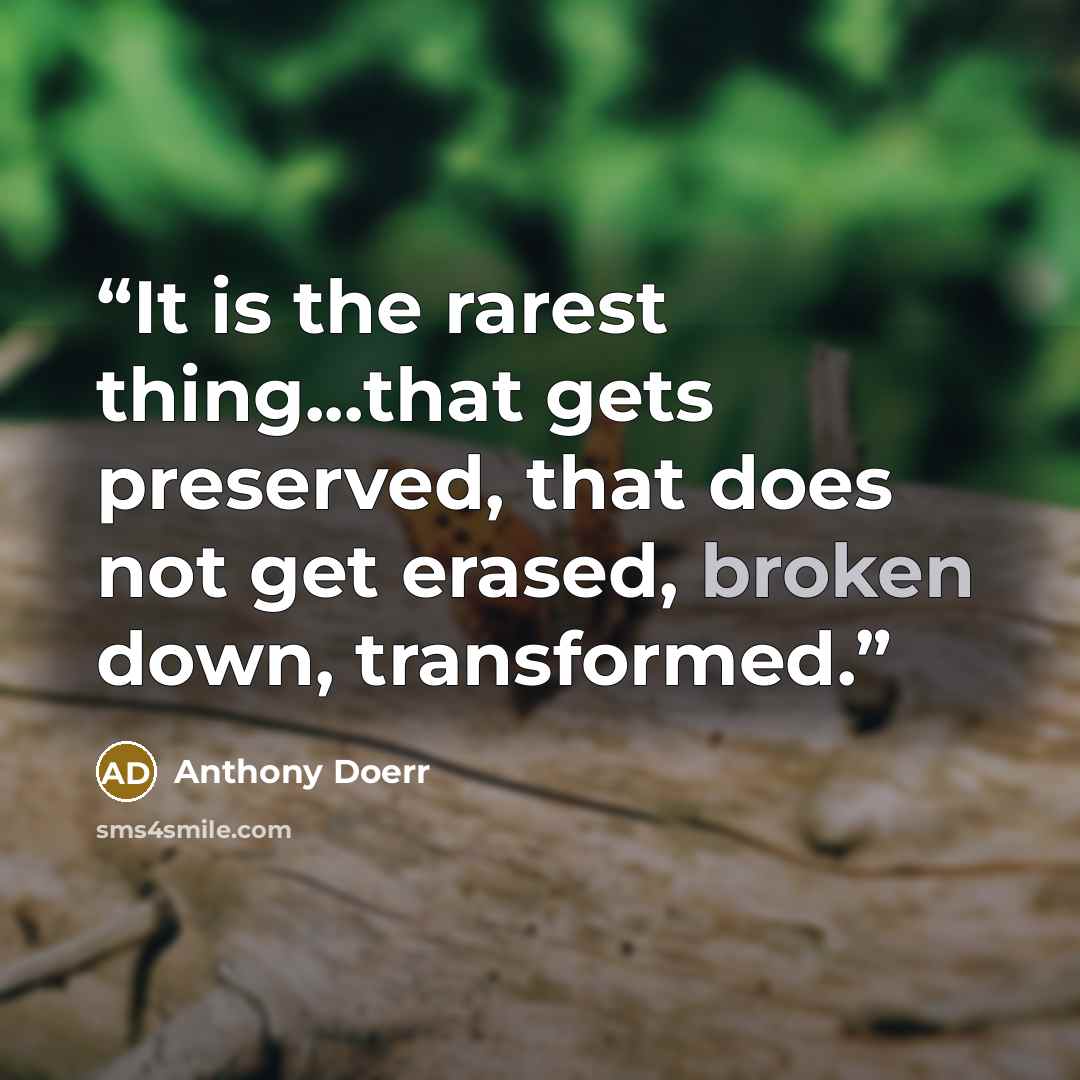 “It is the rarest thing...that gets preserved, that does not get erased, broken down, transformed.” quote by Anthony Doerr