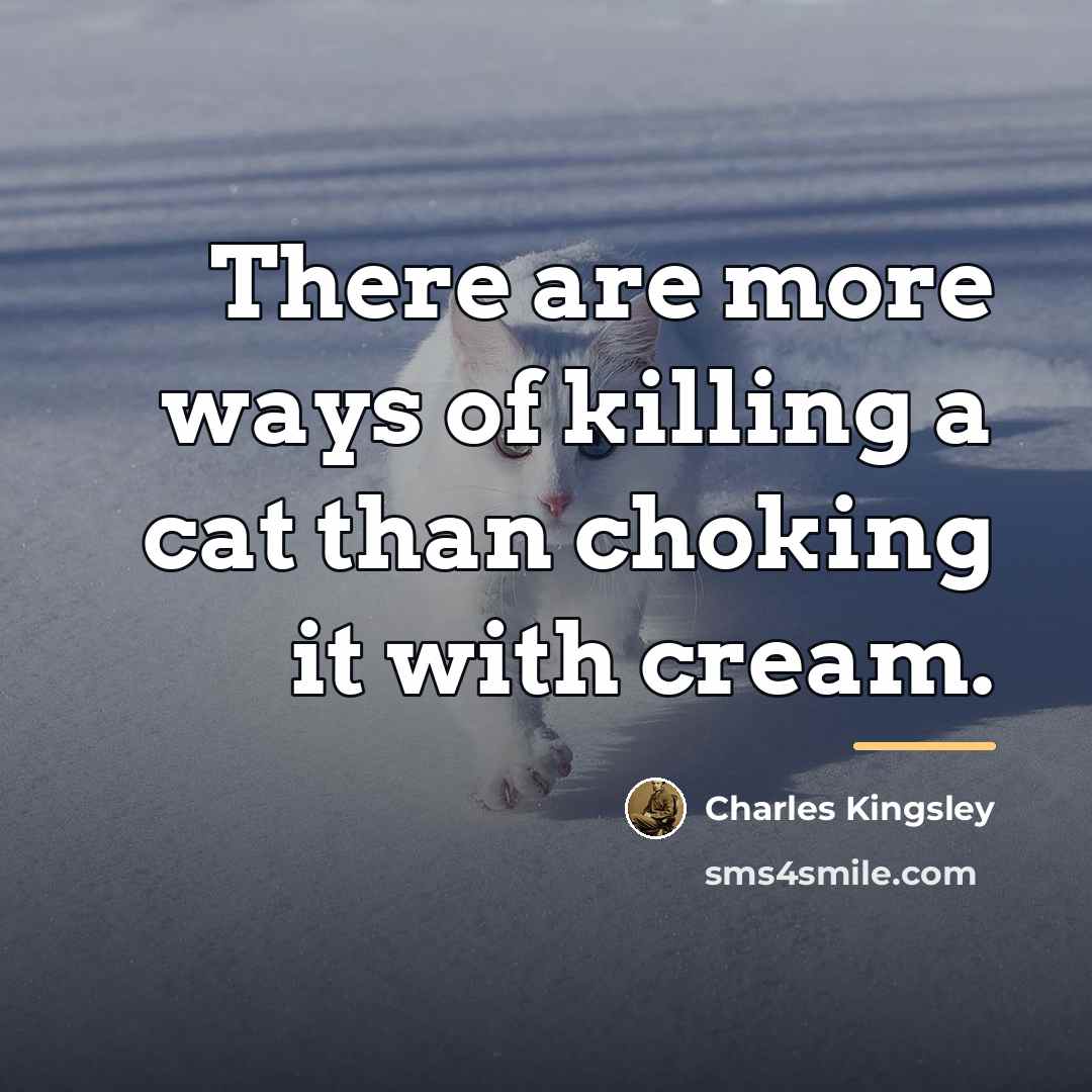 “There are more ways of killing a cat than choking…” quote by Charles Kingsley