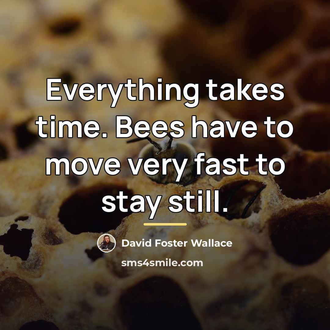 “Everything takes time. Bees have to move very fast to…” quote by David Foster Wallace