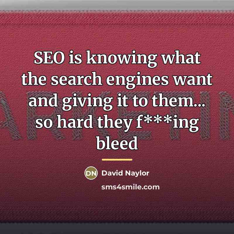 “SEO is knowing what the search engines want and giving…” quote by David Naylor