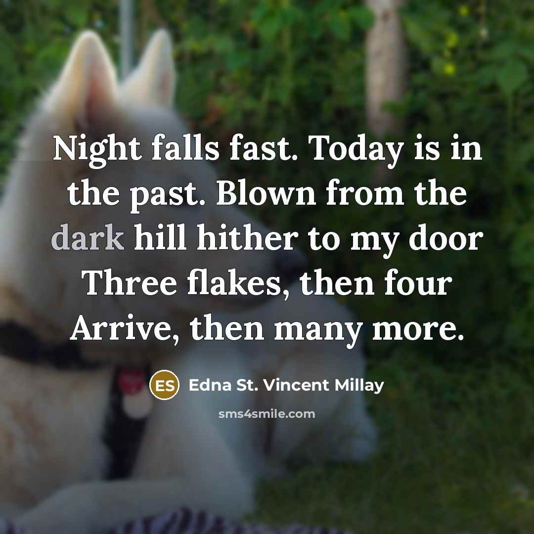 “Night falls fast. Today is in the past. Blown from…” quote by Edna St. Vincent Millay