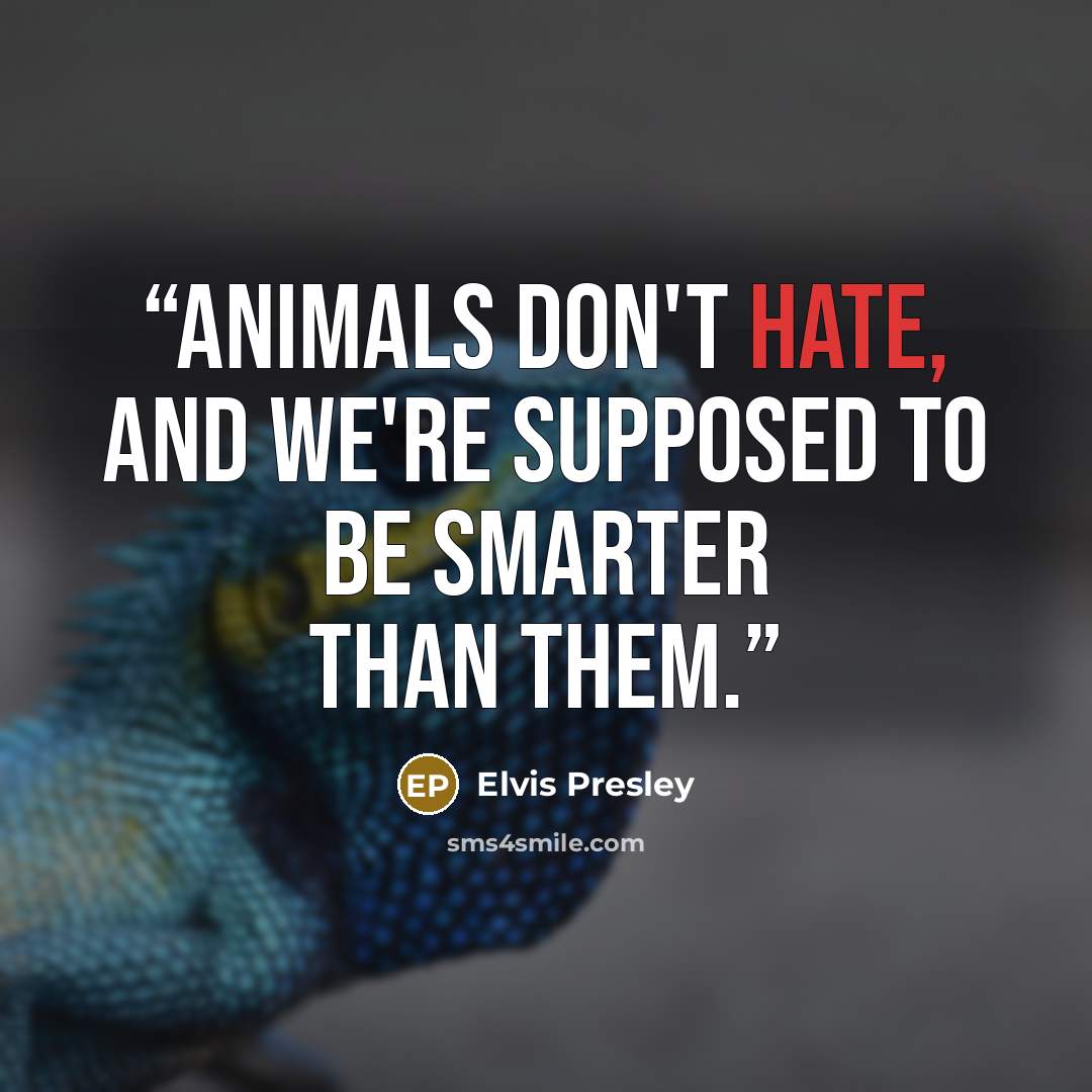 “Animals don't hate, and we're supposed to be smarter than them.” quote by Elvis Presley