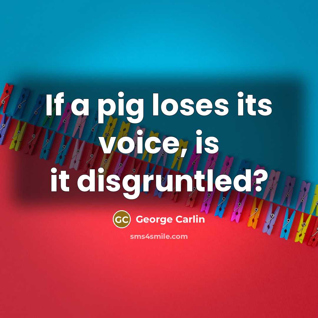 “If a pig loses its voice, is it disgruntled?…” quote by George Carlin