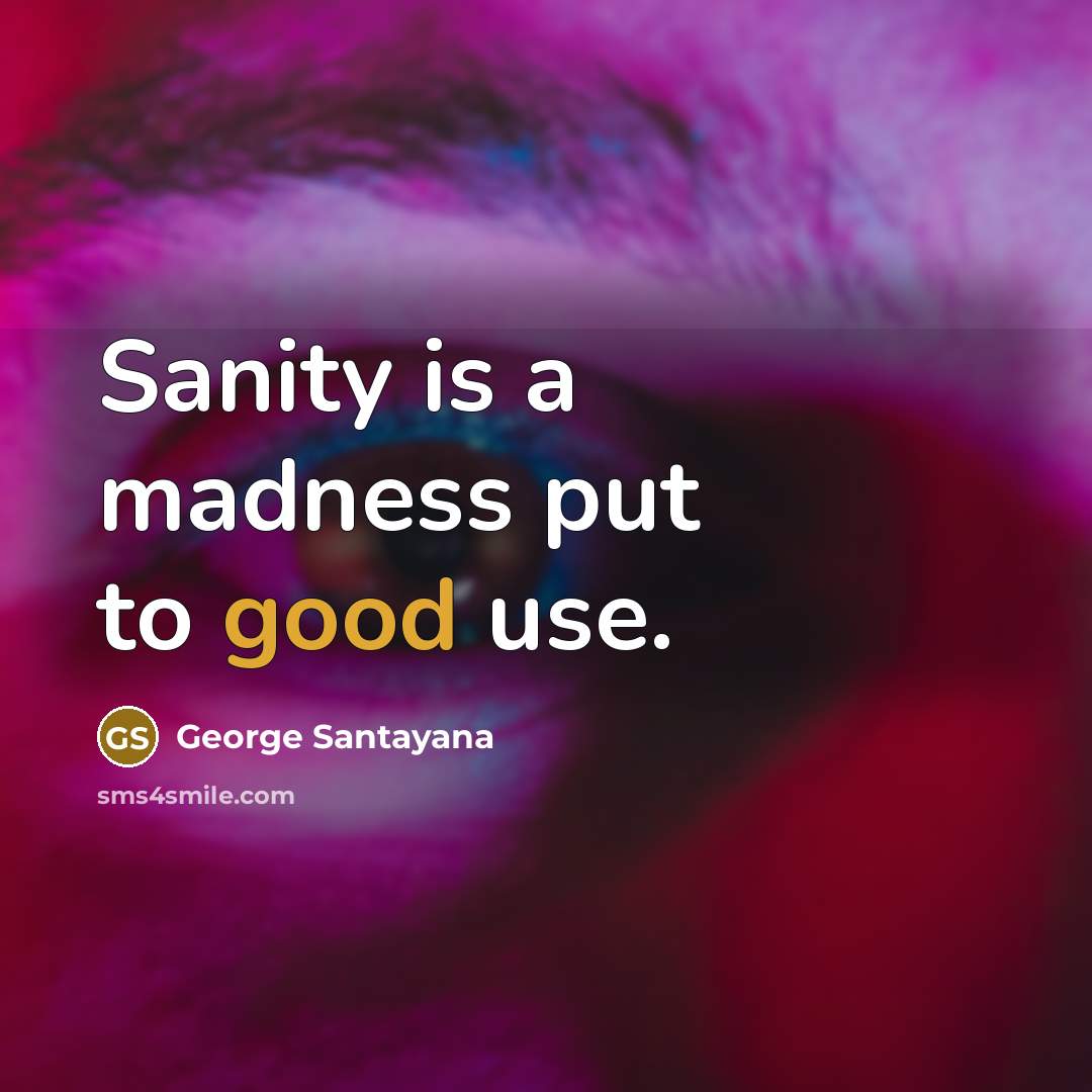 “Sanity is a madness put to good use.” quote by George Santayana