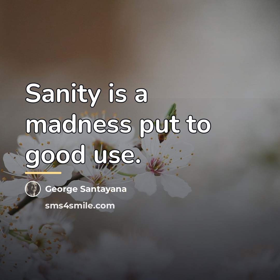 “Sanity is a madness put to good use.…” quote by George Santayana