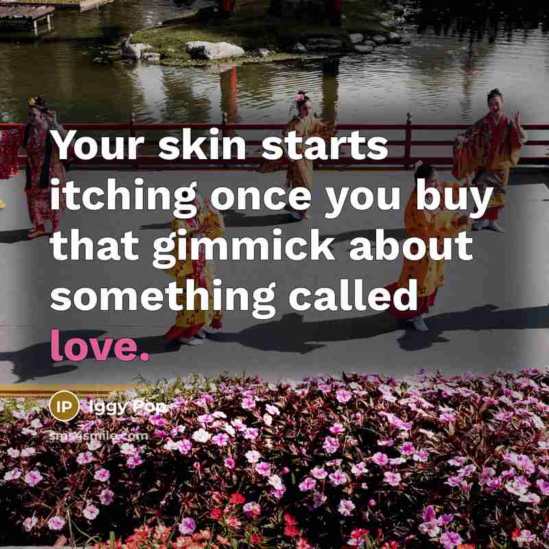 “Your skin starts itching once you buy that gimmick about…” quote by Iggy Pop