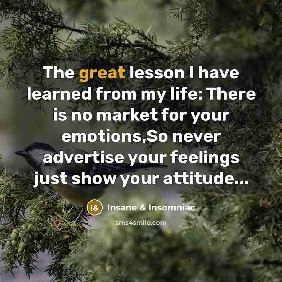 “The great lesson I have learned from my life: There…” quote by Insane & Insomniac