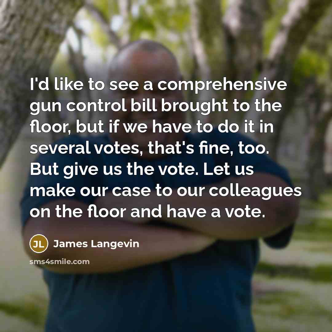 “I'd like to see a comprehensive gun control bill brought…” quote by James Langevin