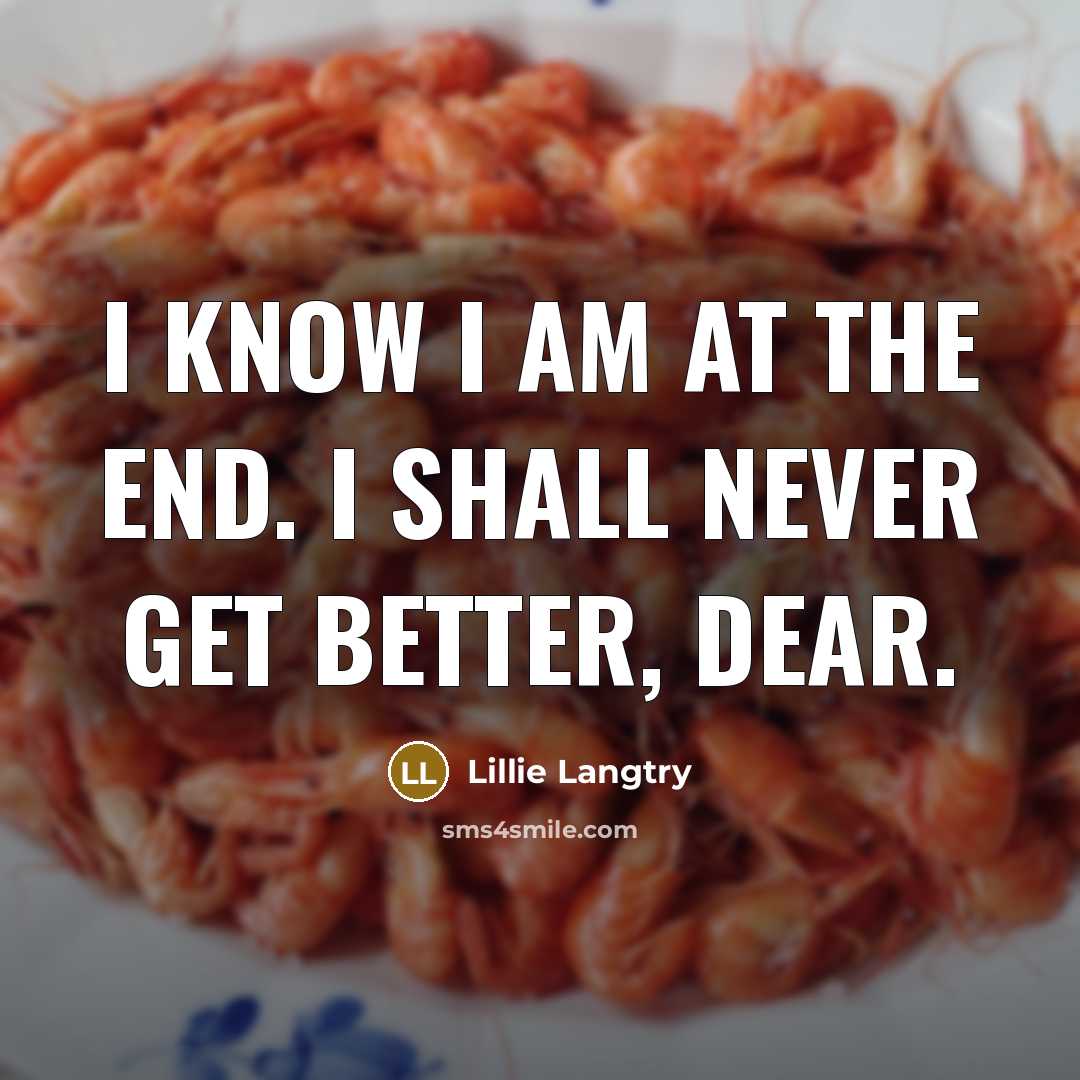 “I know I am at the end. I shall never…” quote by Lillie Langtry