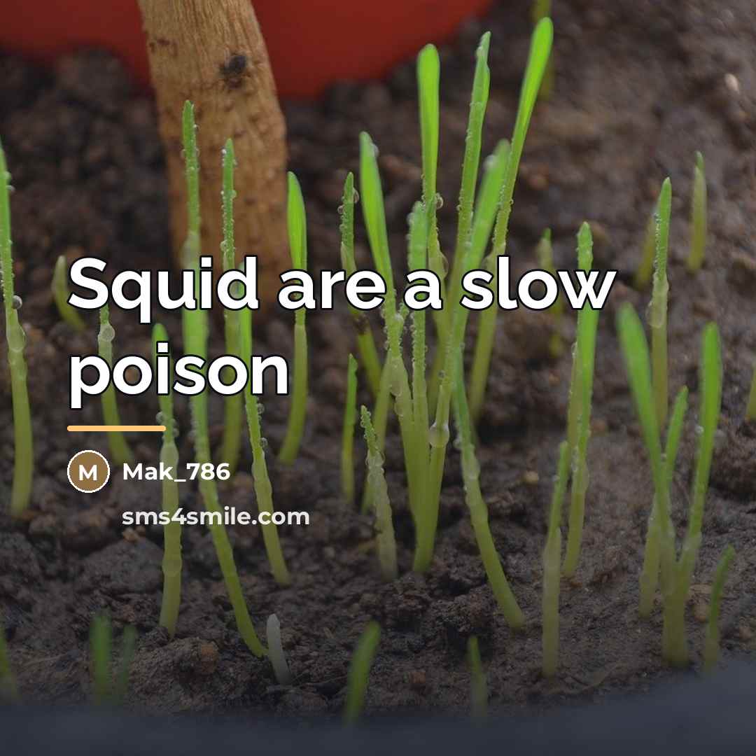 “Squid are a slow poison…” quote by Mak_786