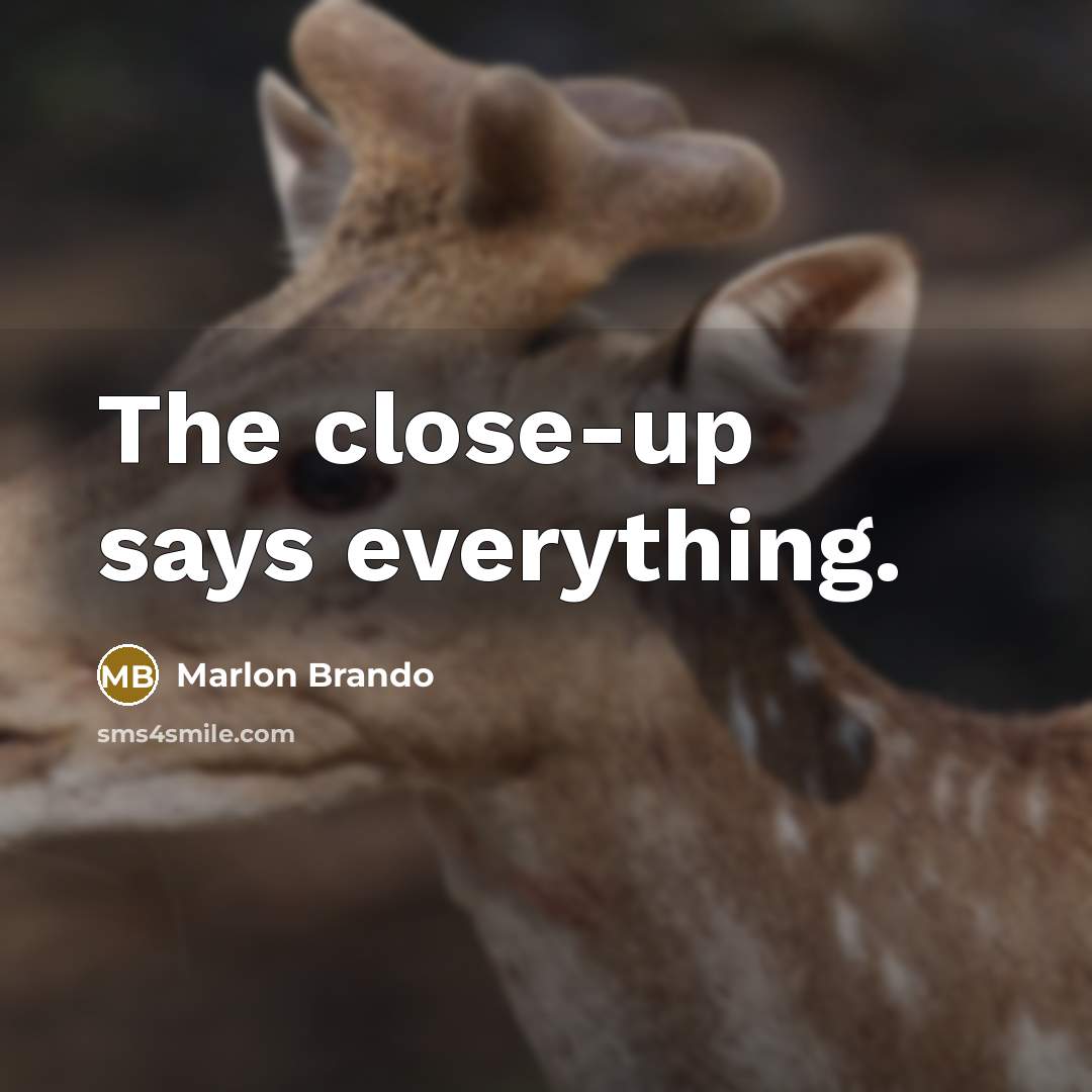 “The close-up says everything.” quote by Marlon Brando