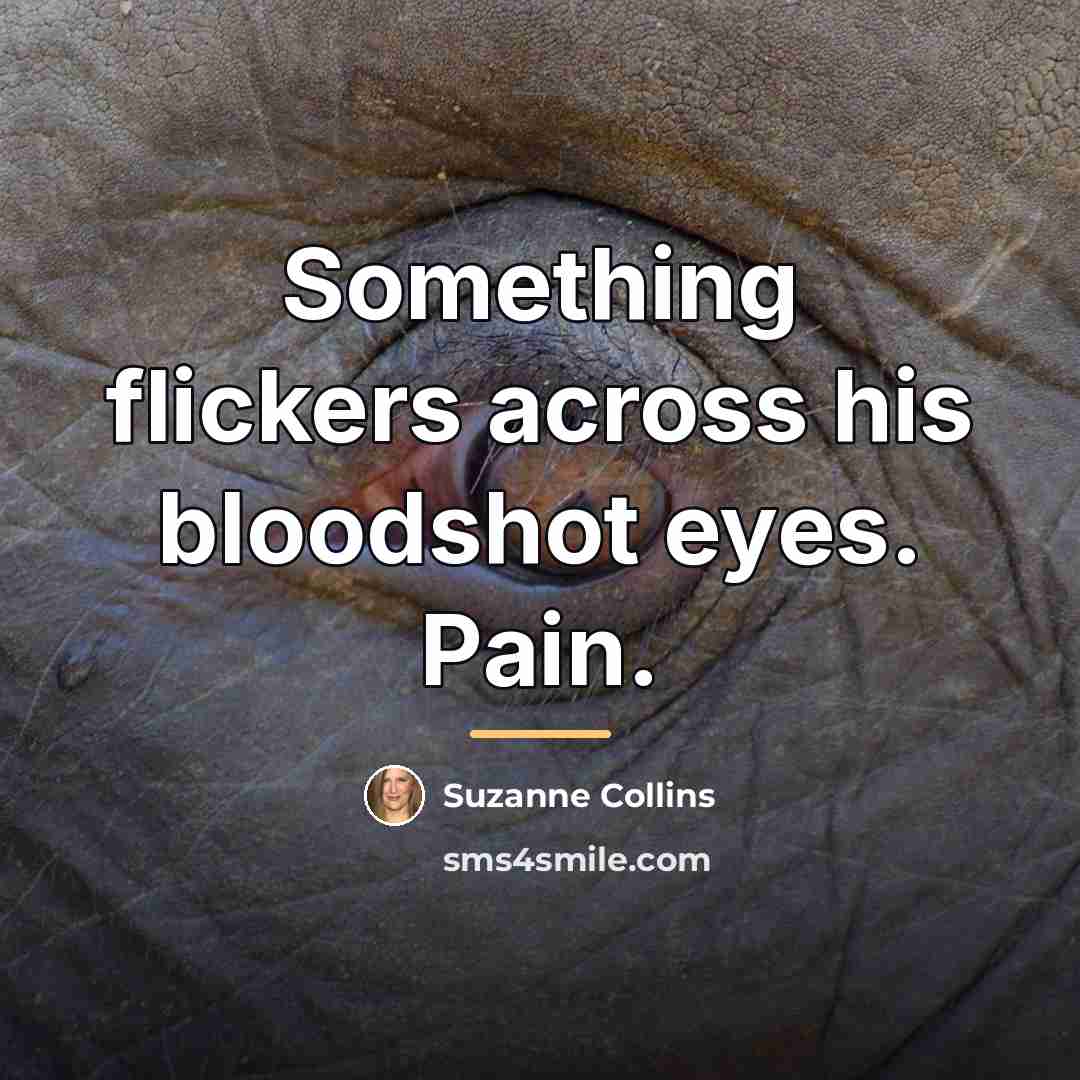 “Something flickers across his bloodshot eyes. Pain.…” quote by Suzanne Collins