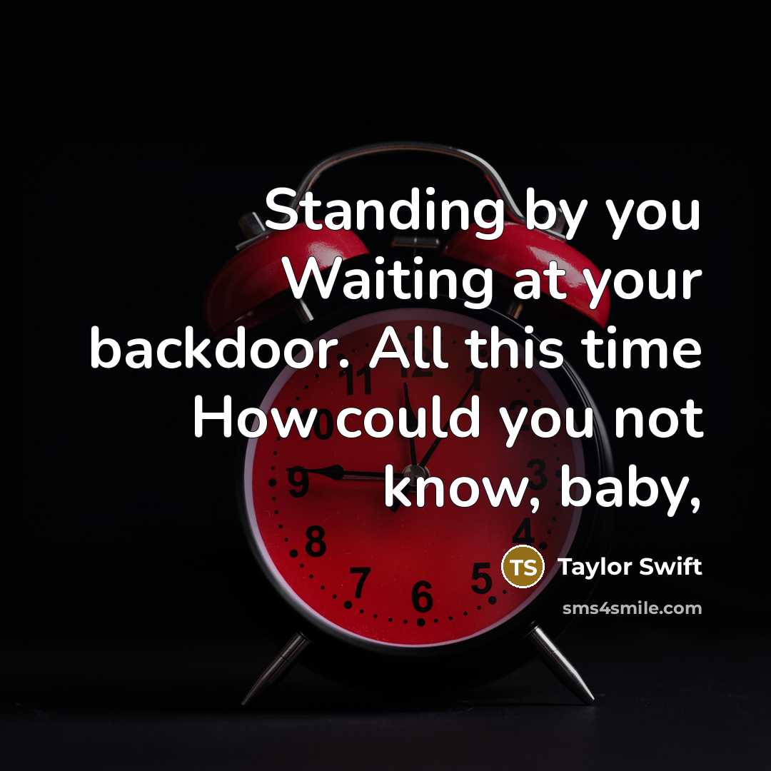 “Standing by you Waiting at your backdoor. All this time How could you not know, baby,” quote by Taylor Swift